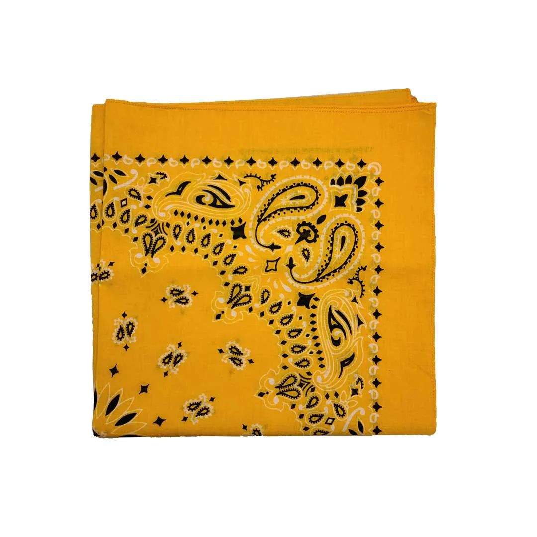 Austin Accent Paisley Print Bandana