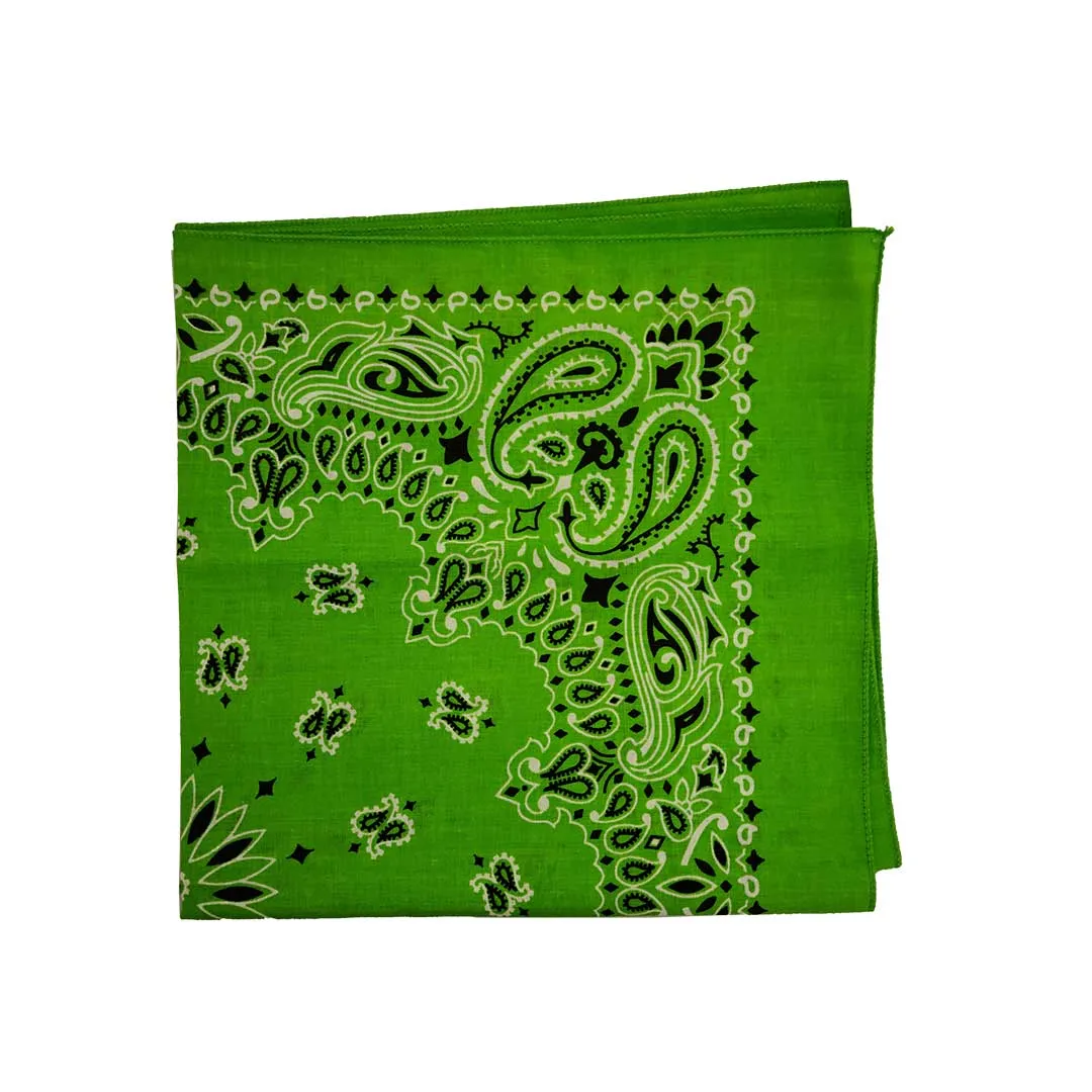 Austin Accent Paisley Print Bandana