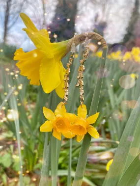 Daffodil Abbey