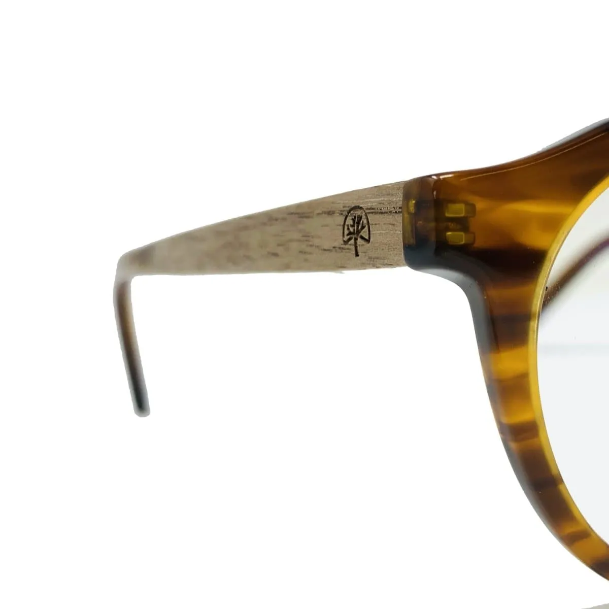 The Kitsilano Eyeglasses Tortoise Shell